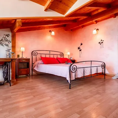 Dream House Vakantiehuis